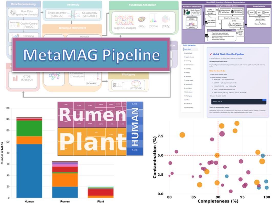 MetaMAG Pipeline