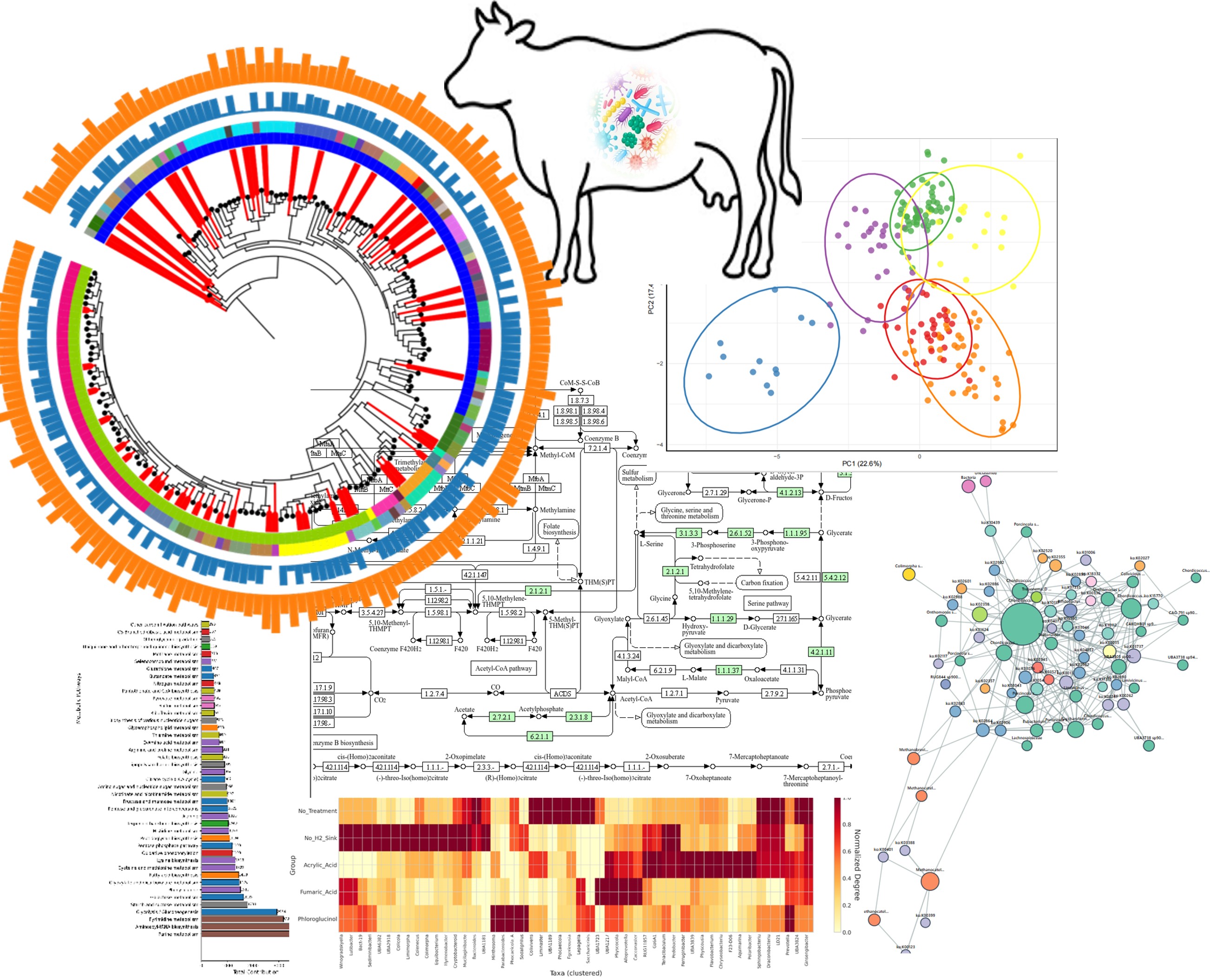 Rumen Microbiome Visualization